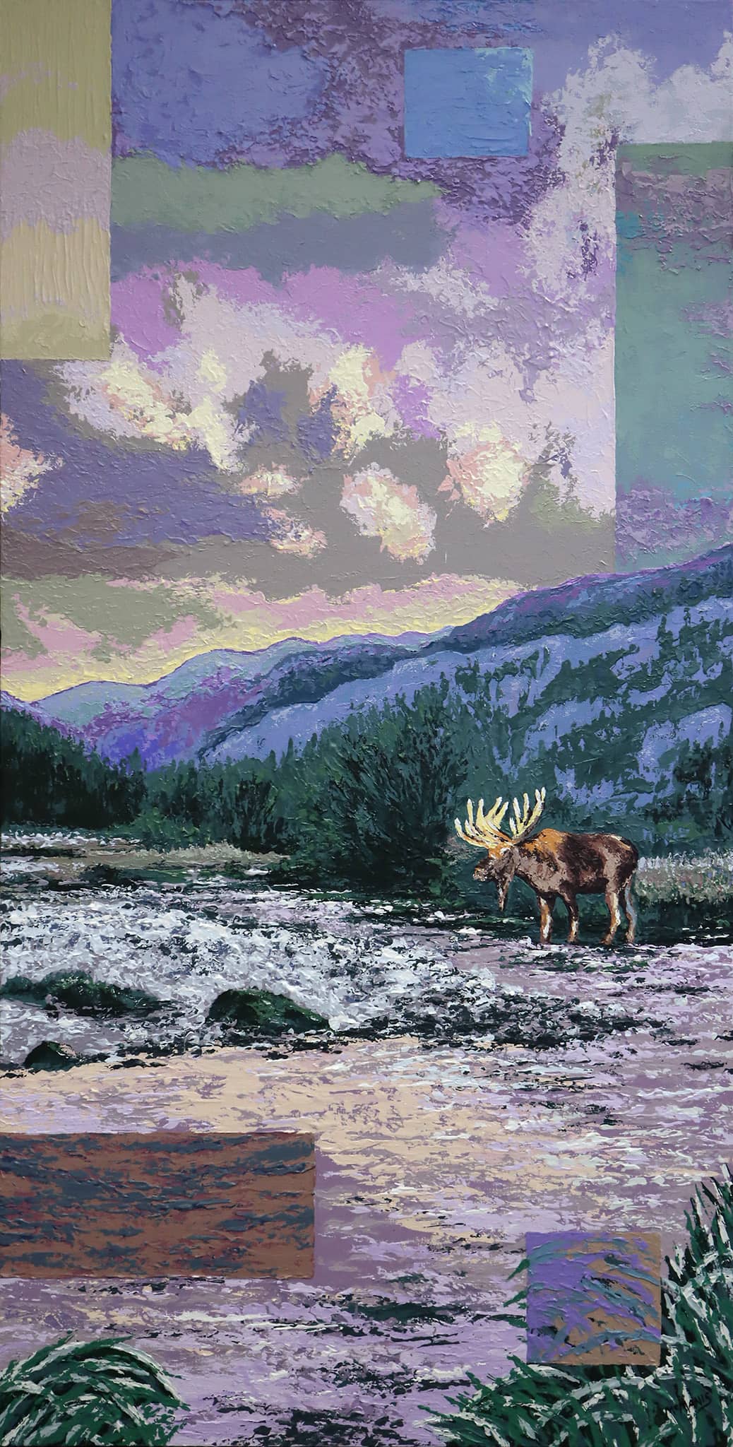 Moose at the River