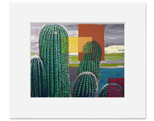 Arizona Desert