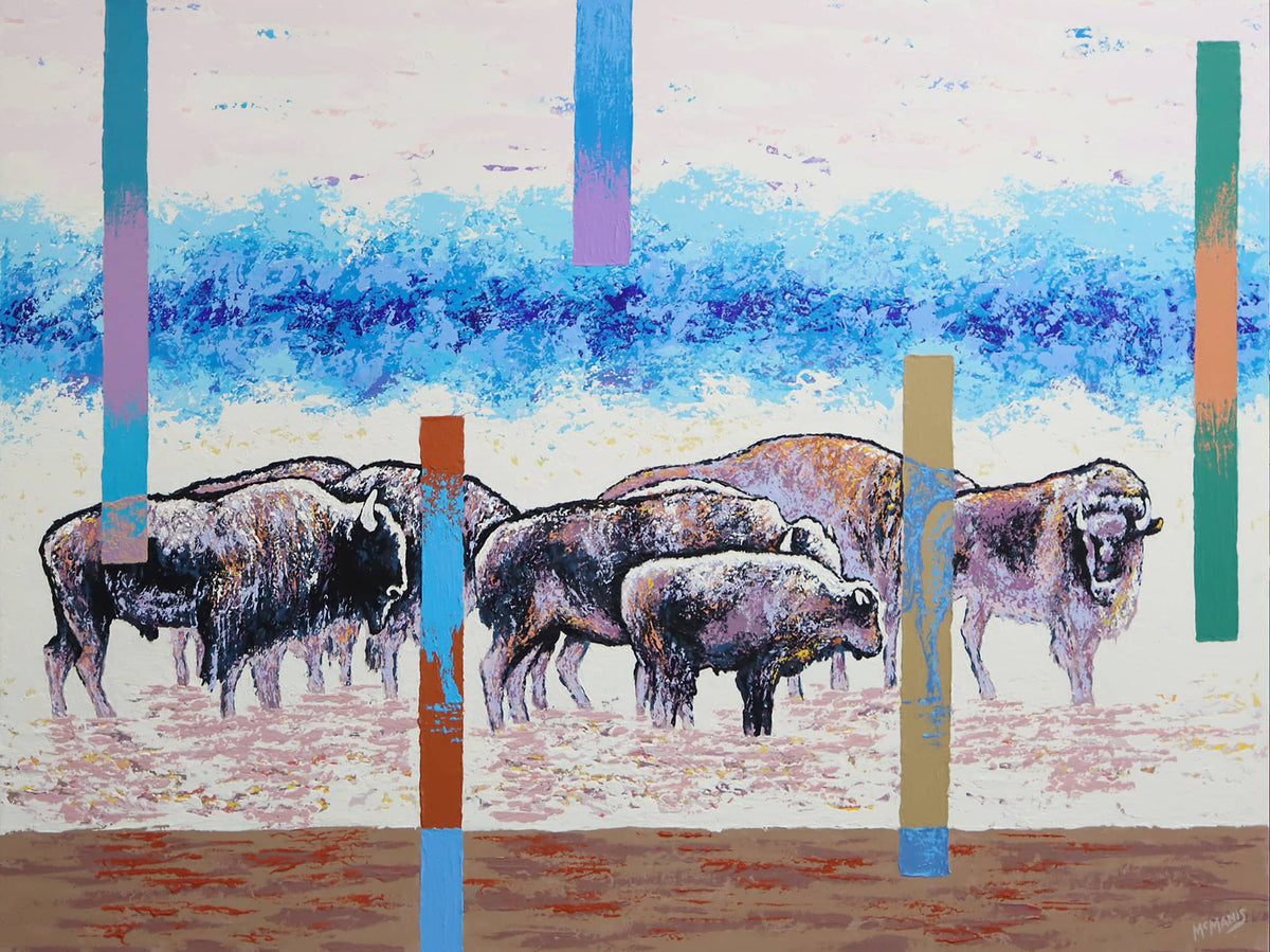 Buffalo Herd