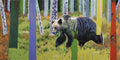 Forest Bear 1
