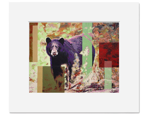 Forest Bear