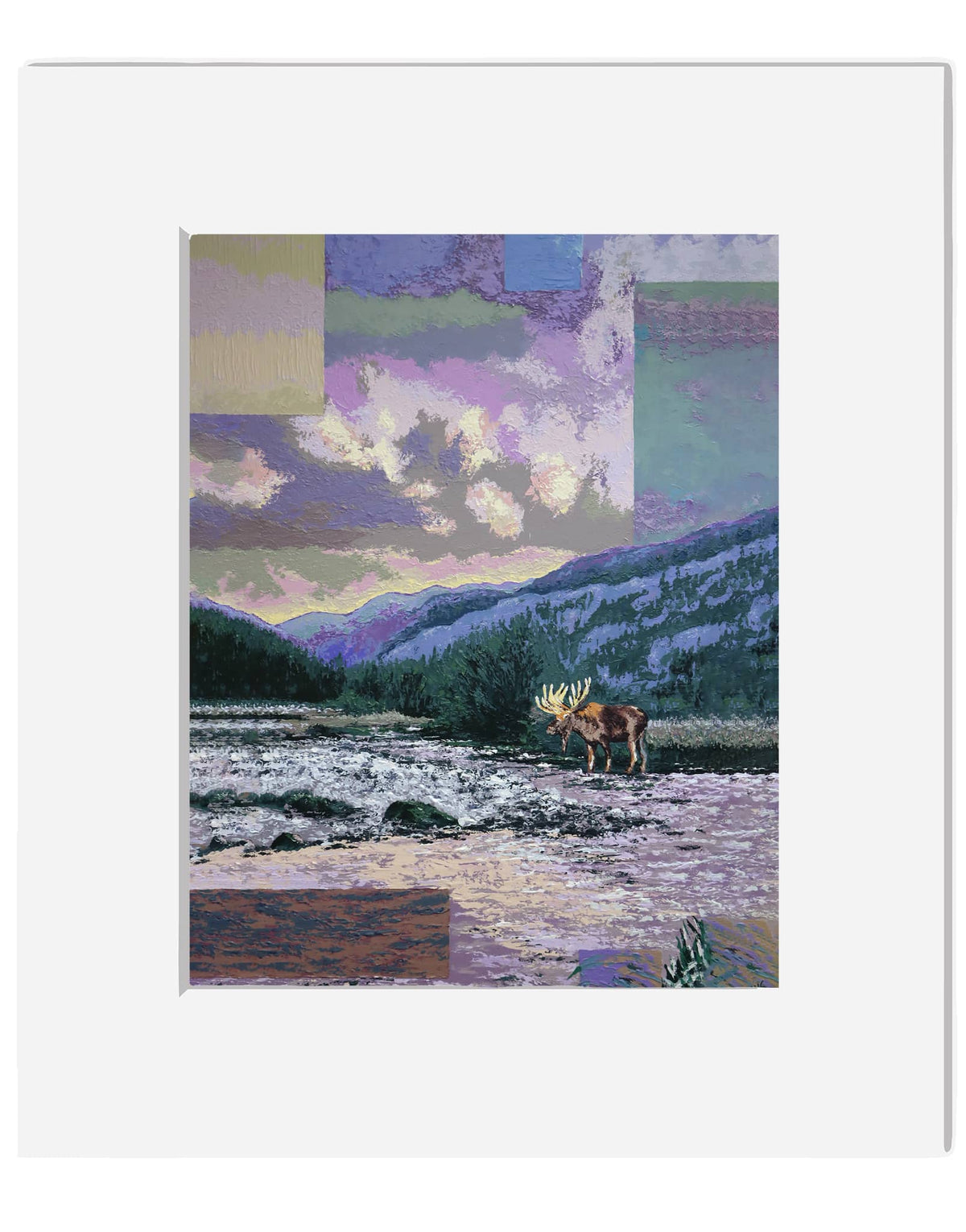Moose at the River
