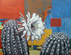 Organ Pipe Flower