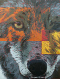 The Coyote