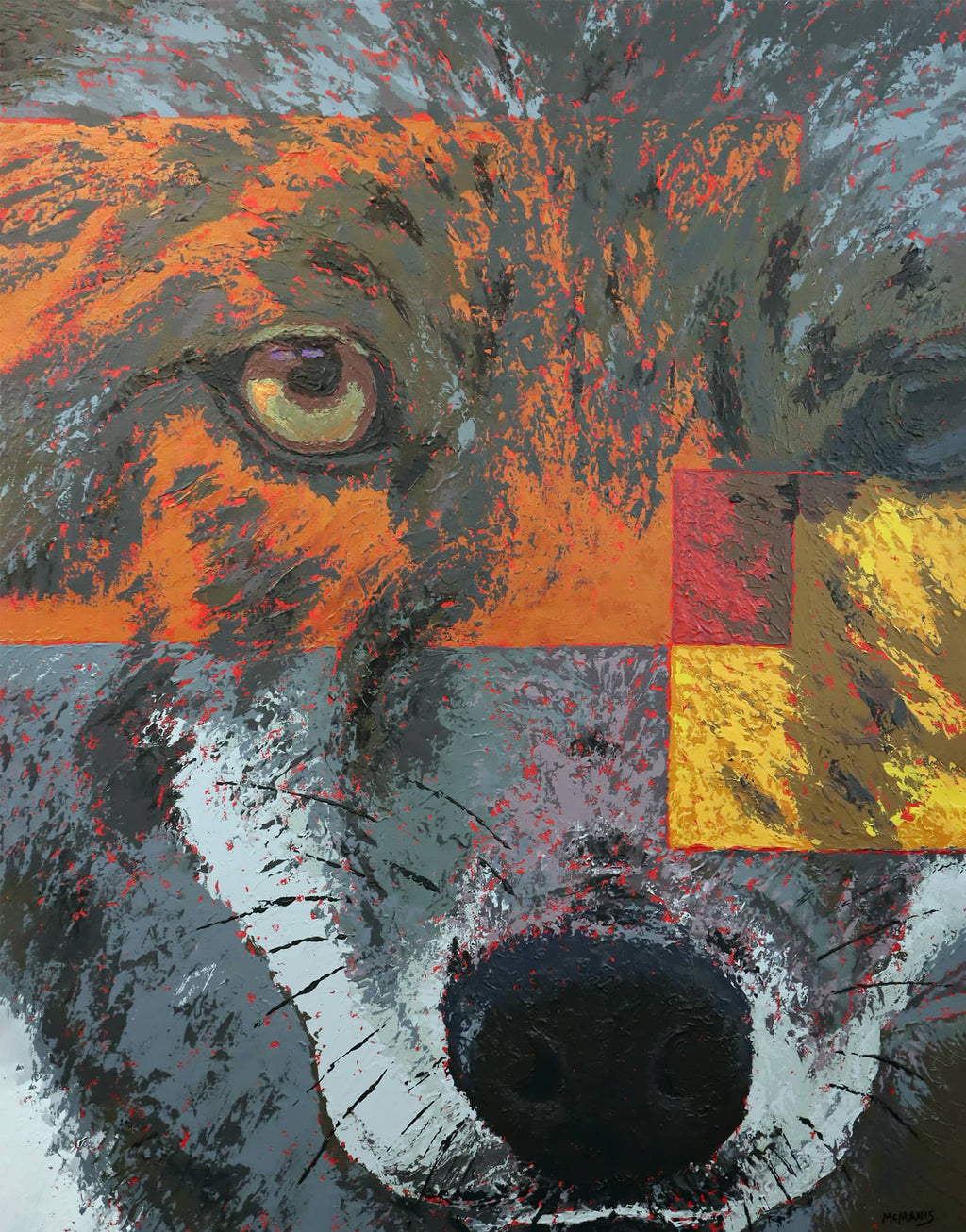 The Coyote