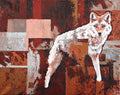 The Coyote 1