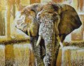 The Elephant