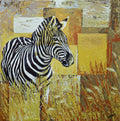 The Zebra