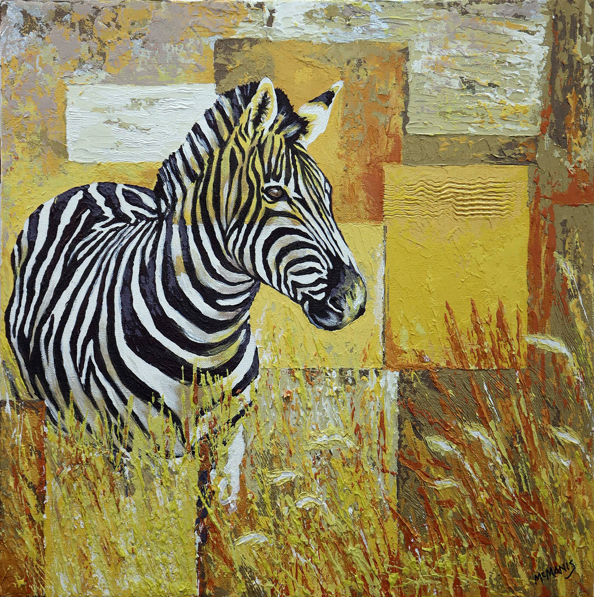 The Zebra
