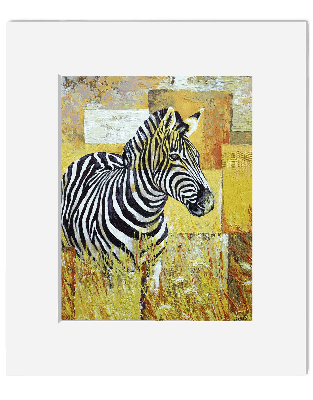 The Zebra
