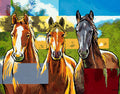 Three Wild Horses