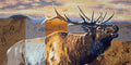 Totem Elk 2